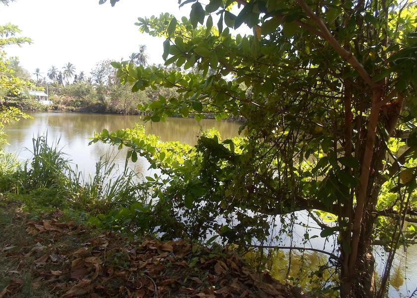 Hambantota District Tangalle Facade