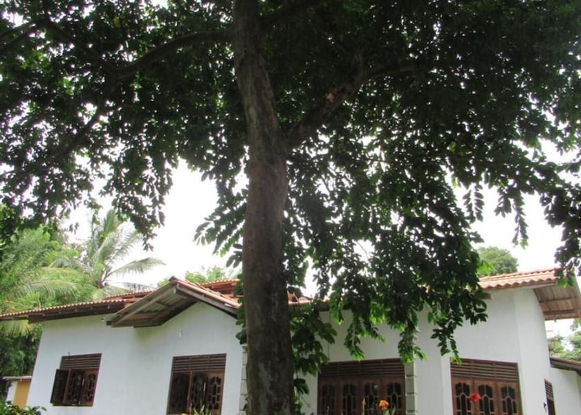 Southern Province Tangalle Exterior Detail