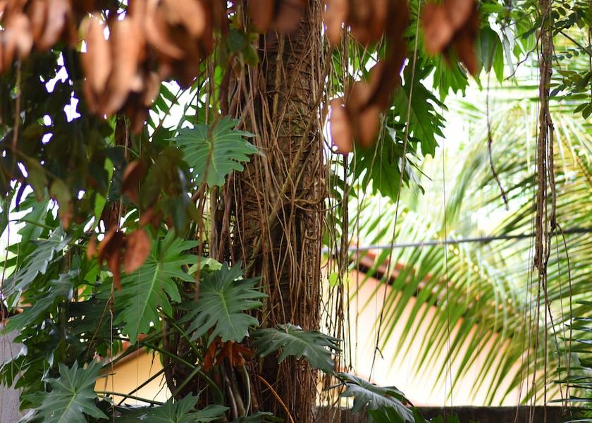 Gampaha District Seeduwa - Katunayake Exterior Detail