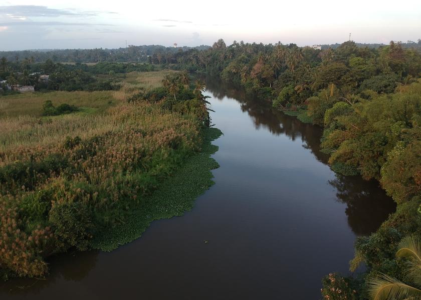 Gampaha District Seeduwa - Katunayake View from Property