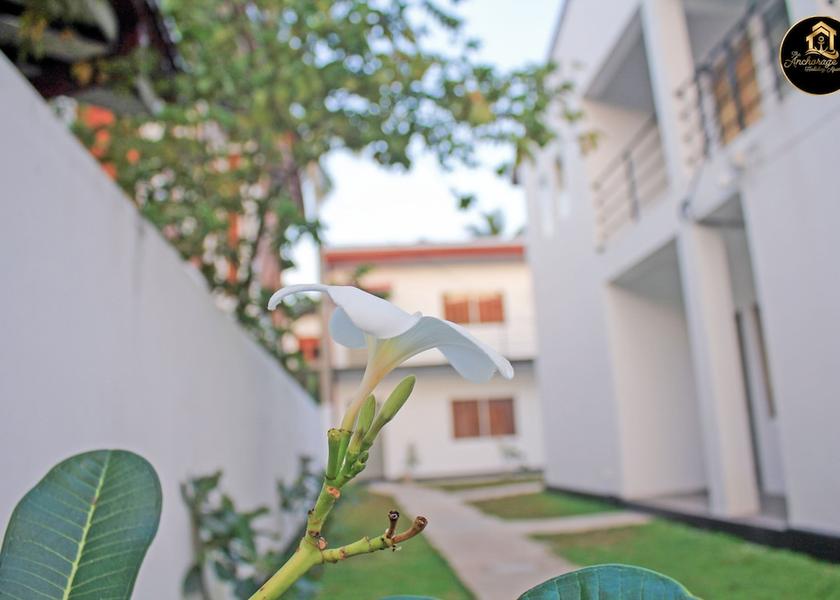 Western Province Seeduwa - Katunayake Primary image