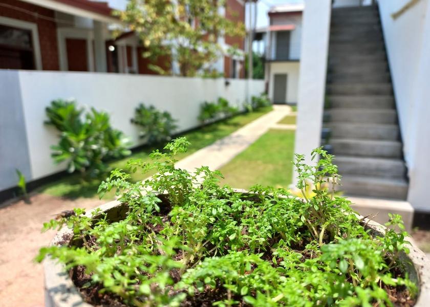 Western Province Seeduwa - Katunayake Exterior Detail