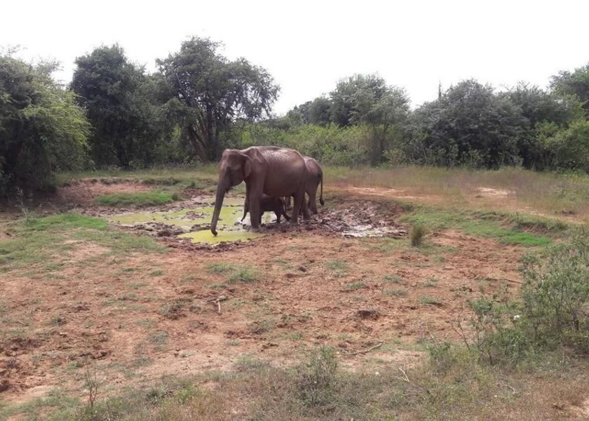 Monaragala District Udawalawa Property Grounds