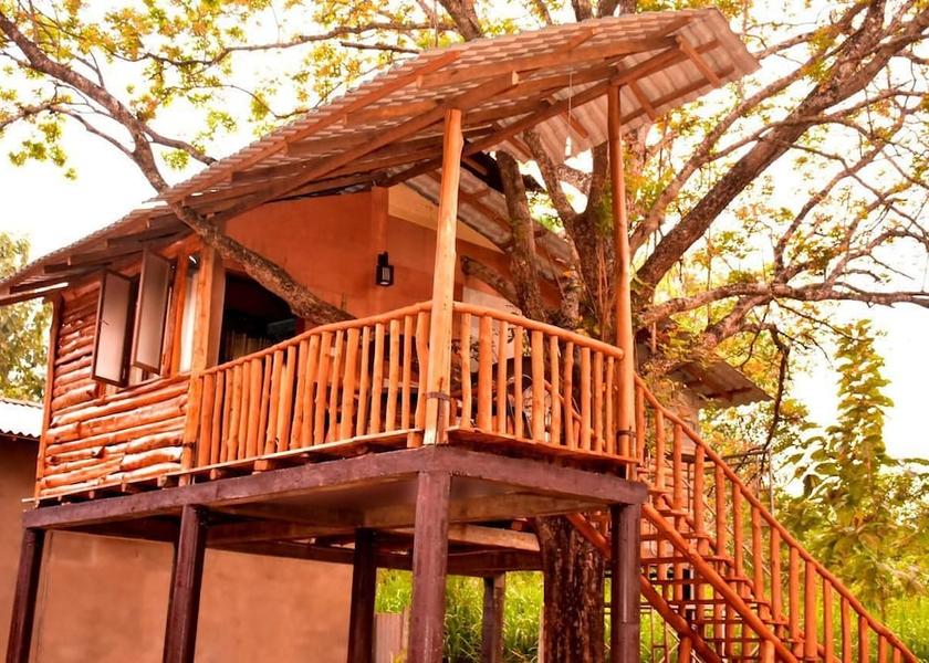 Sabaragamuwa Province Udawalawa Exterior Detail