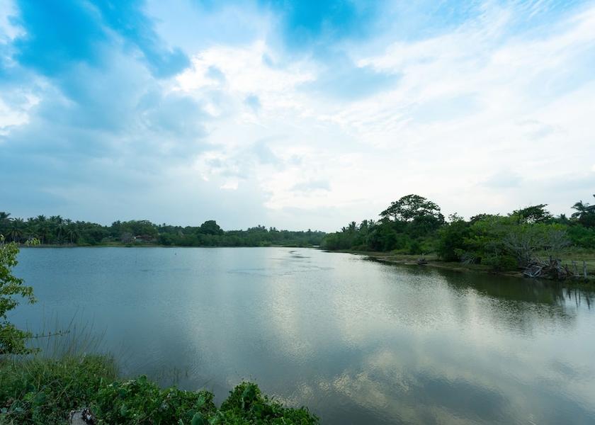Southern Province Kalametiya Lake