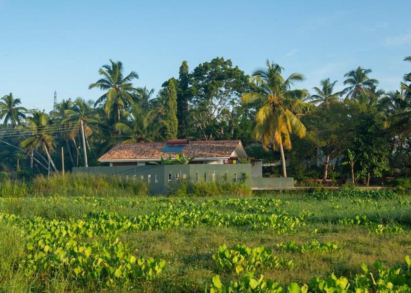 Galle District Wanchawala Room