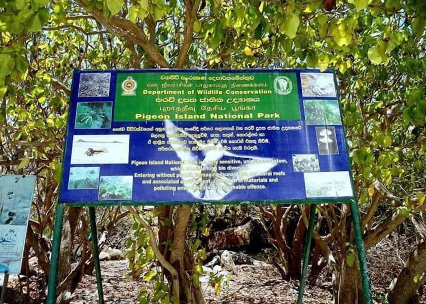 Eastern Province Nilaveli Beach