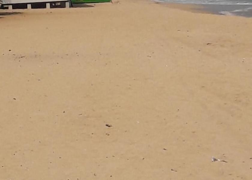 Eastern Province Nilaveli Beach
