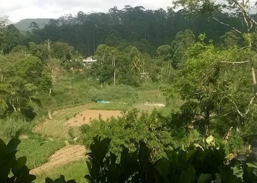 Badulla District Bandarawela View from Property