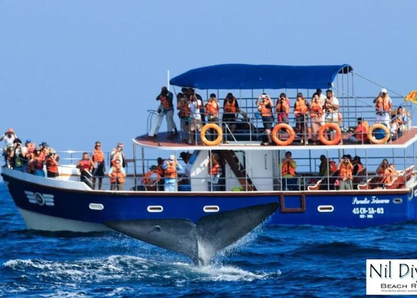 Matara District Matara Land View from Property