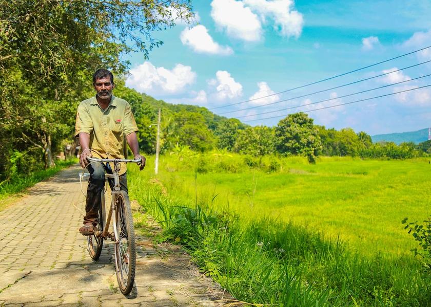 Central Province Dambulla Exterior Detail