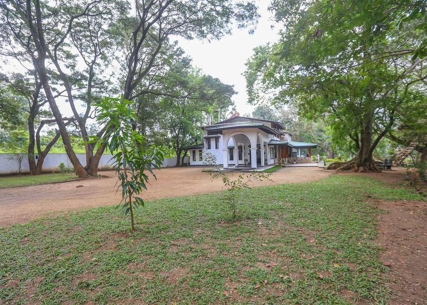 Central Province Dambulla Exterior Detail