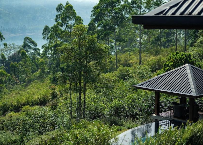 Central Province Hatton Pool