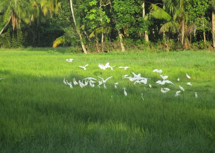 Galle District Unawatuna View from Property