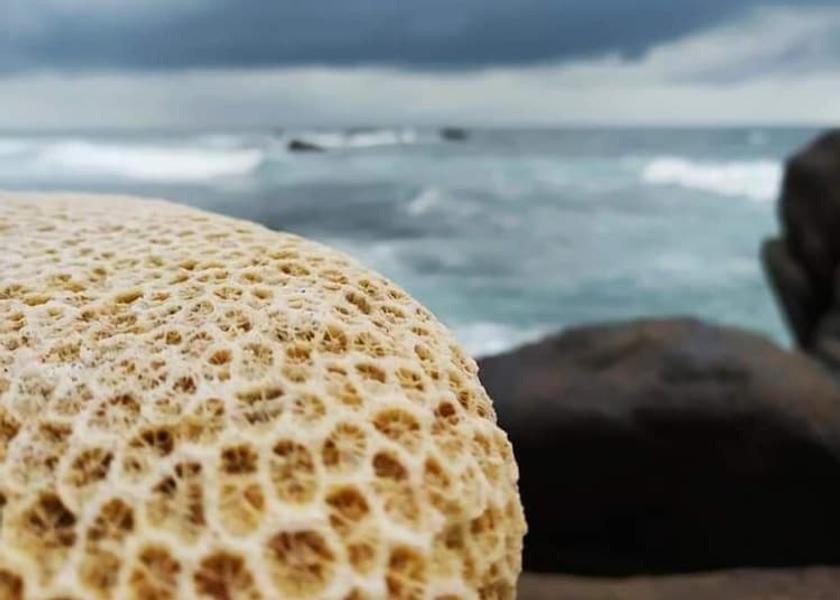 Galle District Unawatuna Exterior Detail