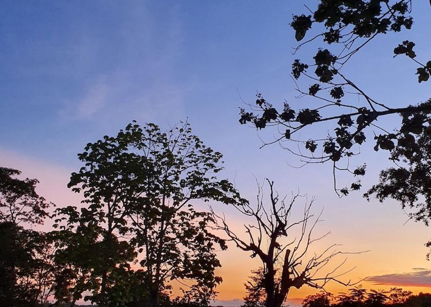 Hambantota District Weerawila Exterior Detail