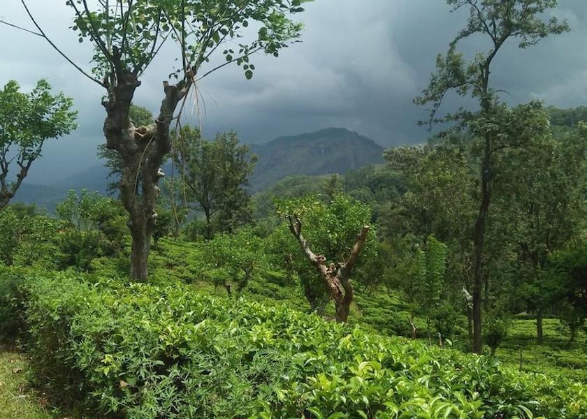 Uva Province Ella Mountain view