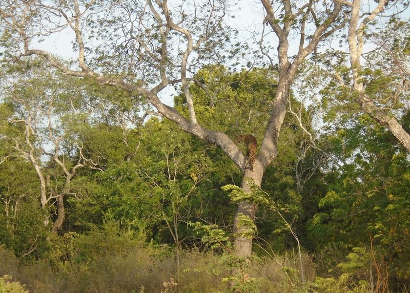 Uva Province Gerandibakinna Exterior Detail