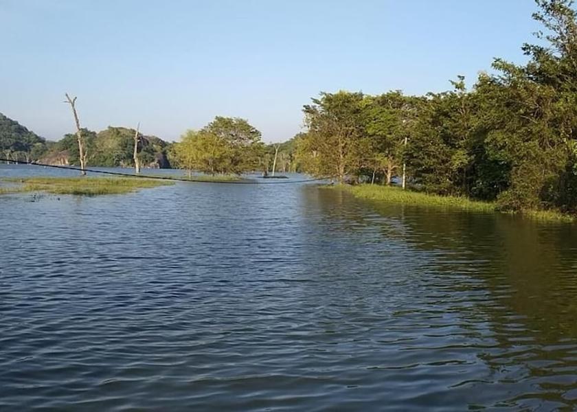 Monaragala District Wellawaya Lake