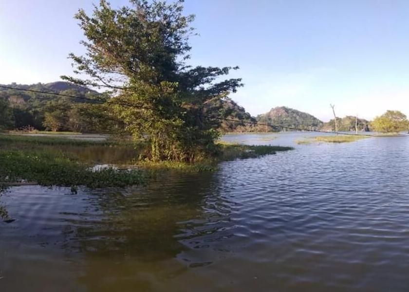 Monaragala District Wellawaya Lake
