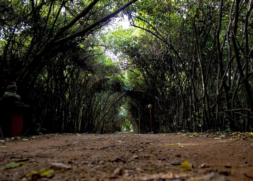 Puttalam District Wennappuwa Facade