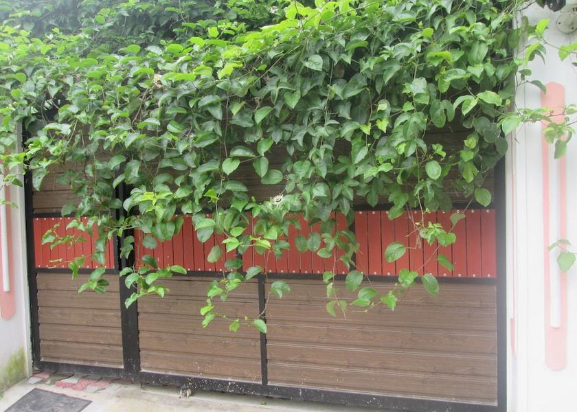 Galle District Ahangama Exterior Detail