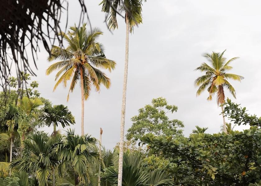 Galle District Ahangama View from Property