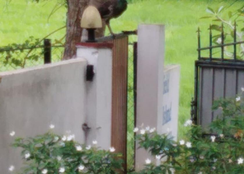 Galle District Ahangama Facade