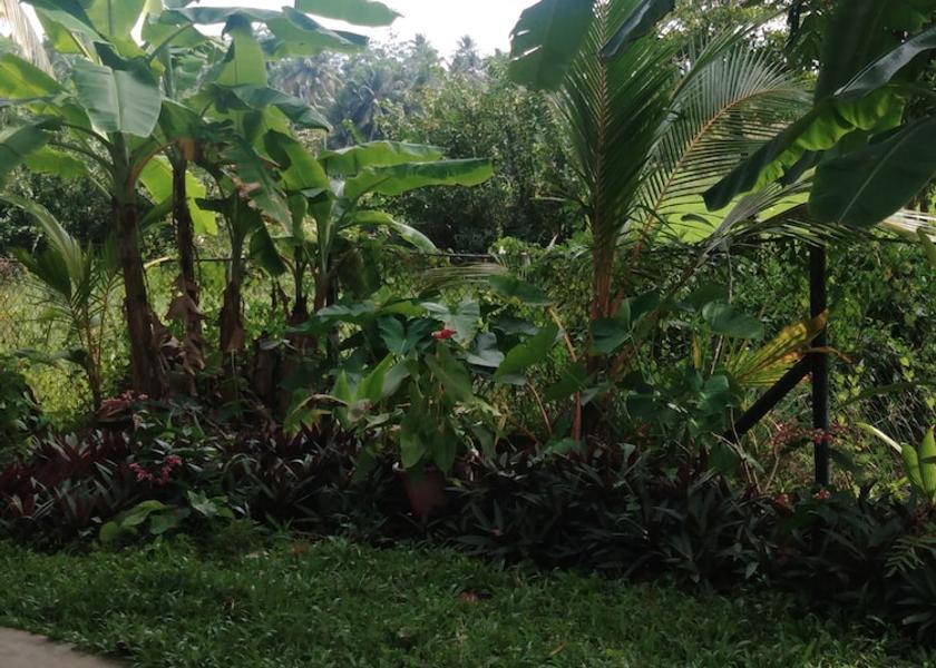 Galle District Ahangama Exterior Detail