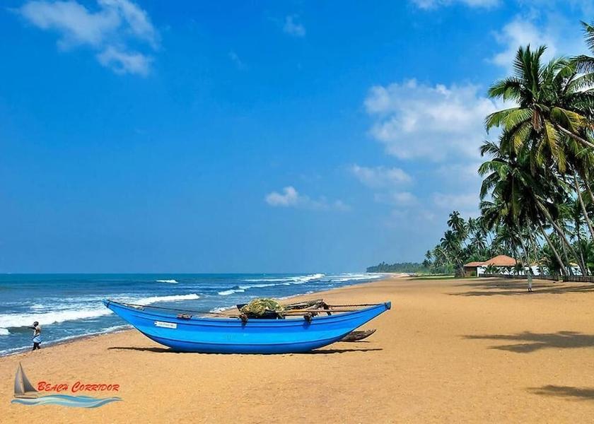 Western Province Negombo Beach