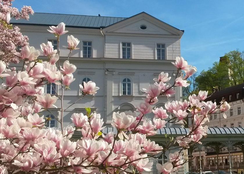 Karlovy Vary (region) Karlovy Vary Exterior Detail