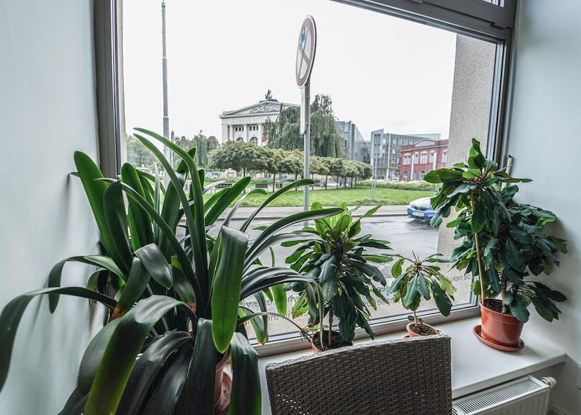 Moravian Silesian (region) Ostrava Reception