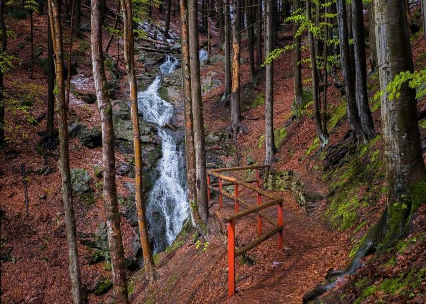 Liberec (region) Rokytnice nad Jizerou View from Property