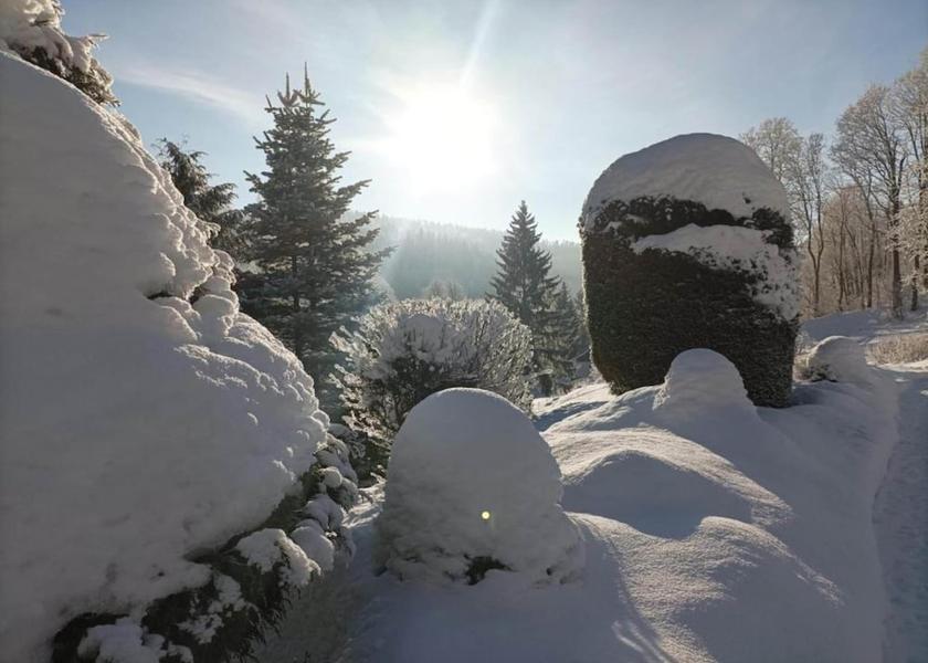 Liberec (region) Rokytnice nad Jizerou View from Property