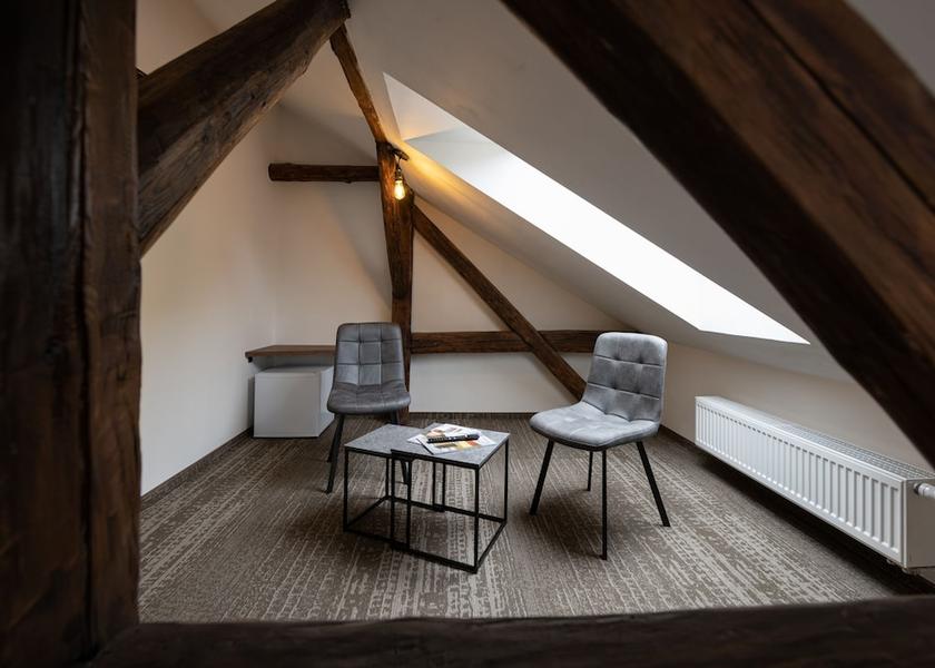 Plzen Region Plzen Room