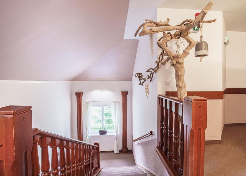 Karlovy Vary Region Frantiskovy Lazne Staircase