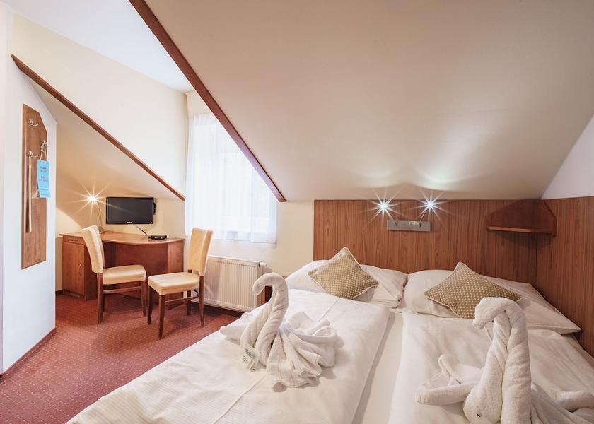 Karlovy Vary Region Frantiskovy Lazne Room