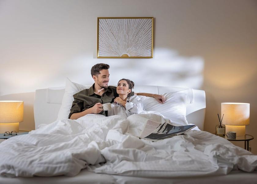 South Moravian (region) Brno Room