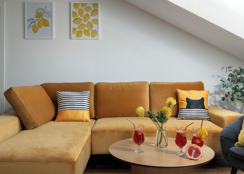 South Moravian (region) Brno Living Area