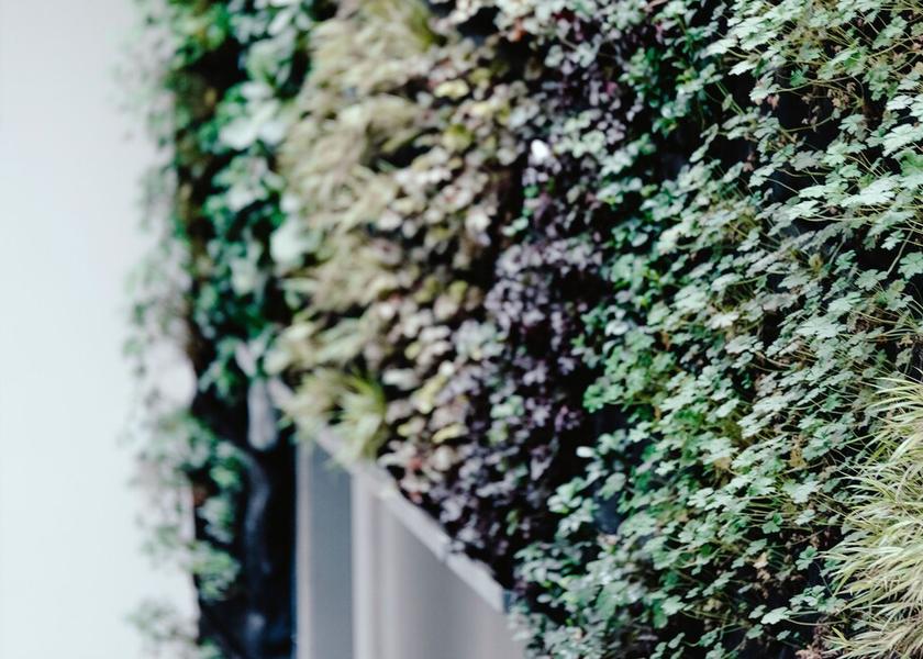 South Moravian (region) Brno Exterior Detail