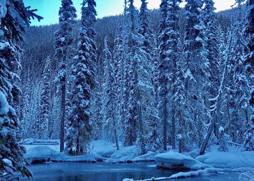 British Columbia Whistler Lake
