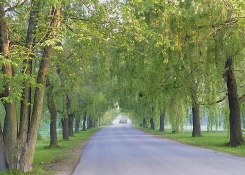 Ontario Ramara Aerial View