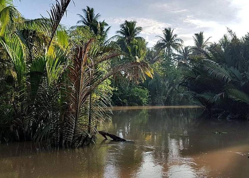 Vinh Long Province Ben Tre Property Grounds