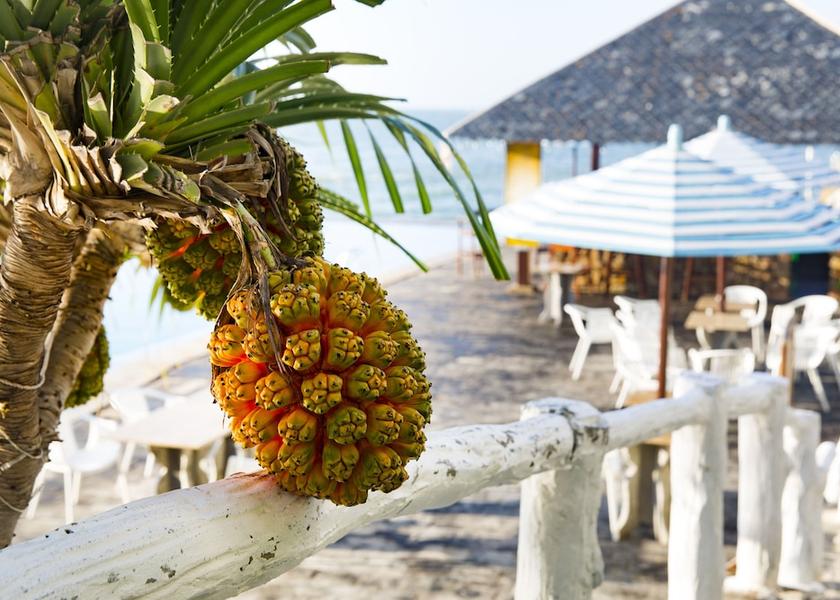 Binh Thuan Ham Thuan Nam Exterior Detail