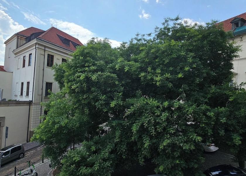  Prague View from room