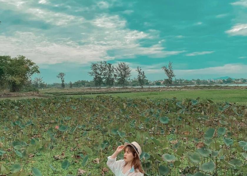 Quang Nam Hoi An View from Property