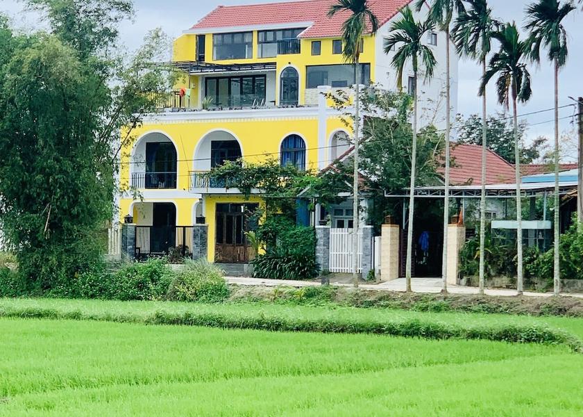 Quang Nam Hoi An View from Property