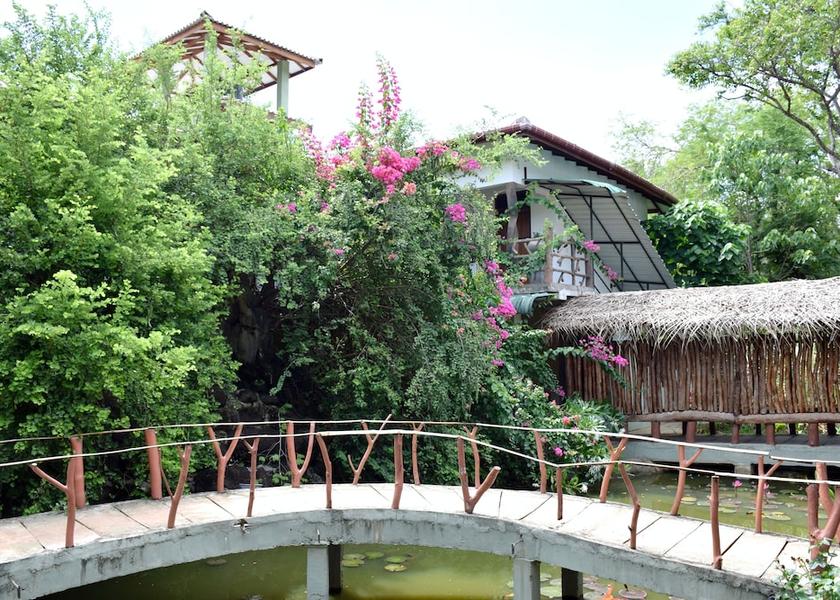 Central Province Sigiriya Terrace