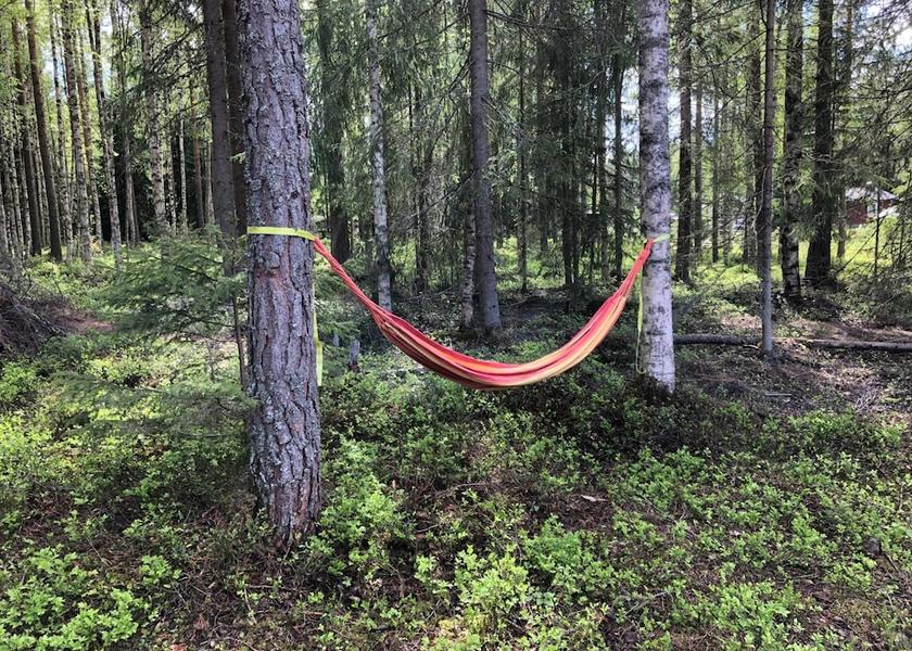 Dalarna County Borlange Property Grounds