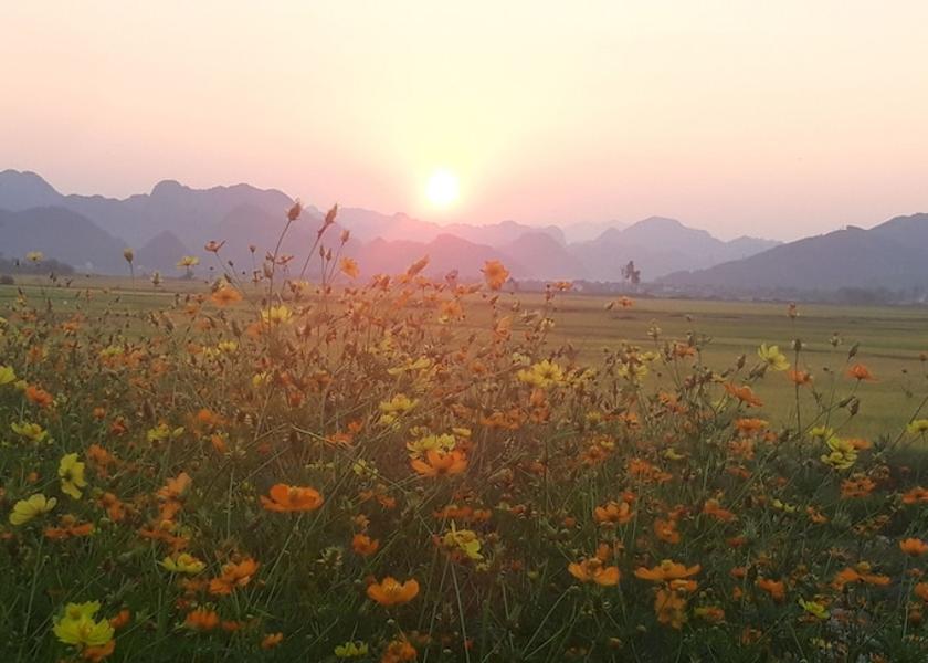 Quang Tri Province Bo Trach View from room